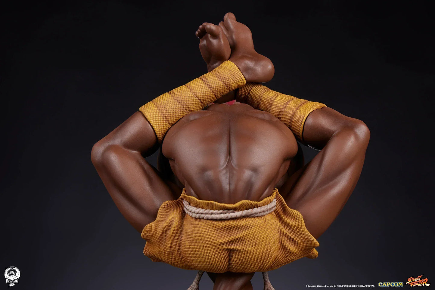AKUMA & DHALSIM Sammlerset von PCS