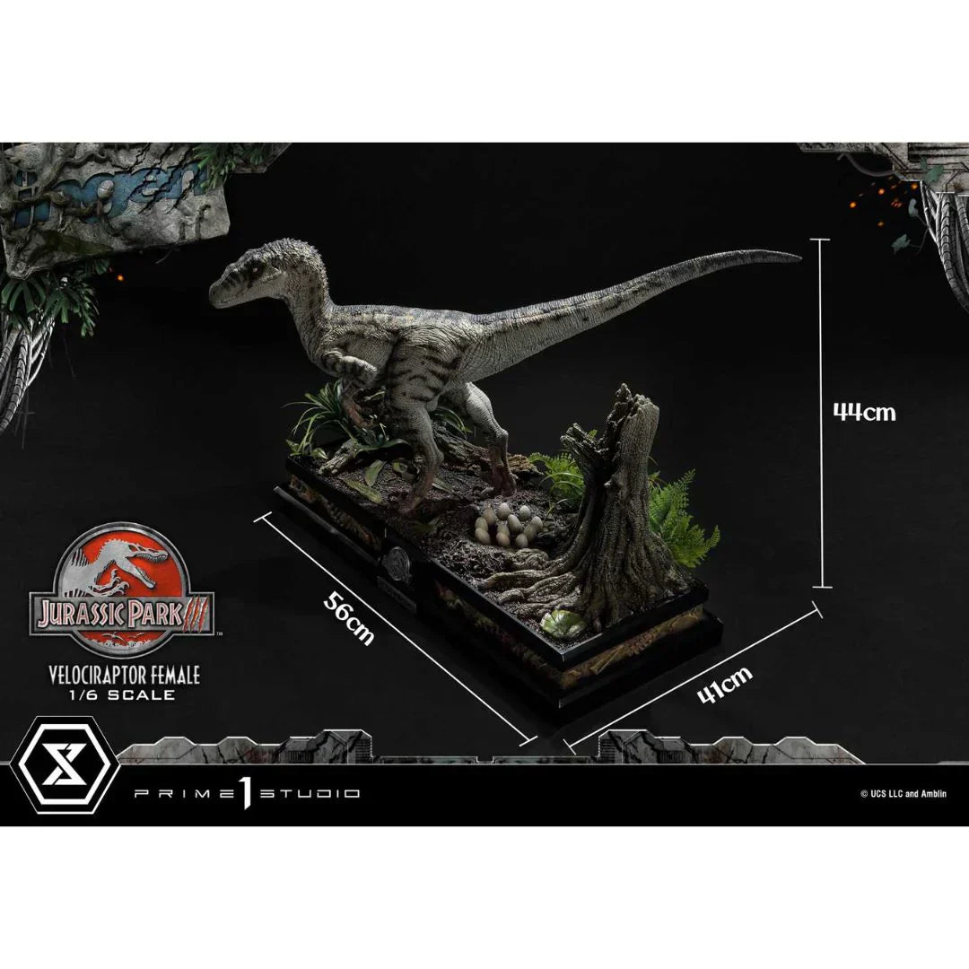 Prime 1 Studio Jurassic Park III (Film) Velociraptor Weiblich Bonusversion Statue