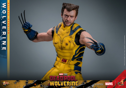 WOLVERINE (DELUXE VERSION) Sechste Maßstab Figur von Hot Toys