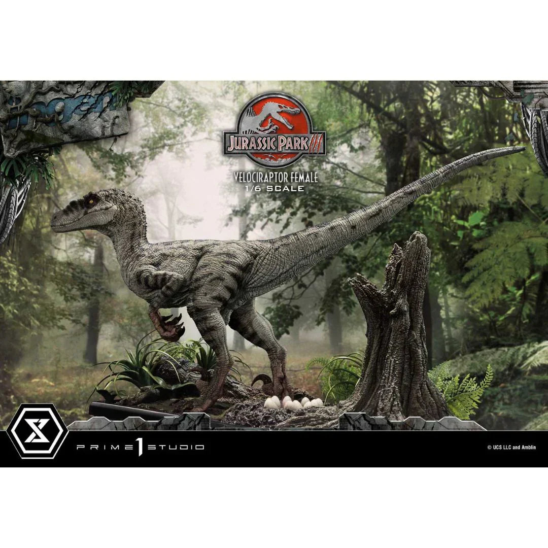 Prime 1 Studio Jurassic Park III (Film) Velociraptor Weiblich Bonusversion Statue