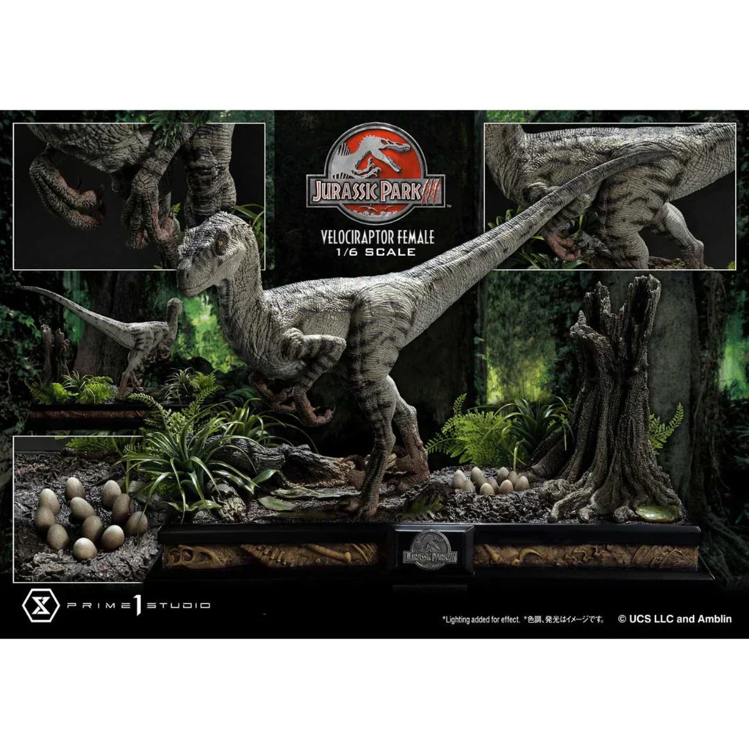 Prime 1 Studio Jurassic Park III (Film) Velociraptor Weiblich Bonusversion Statue