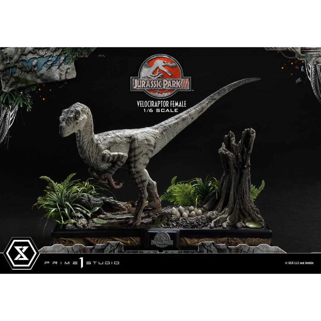 Prime 1 Studio Jurassic Park III (Film) Velociraptor Weiblich Bonusversion Statue