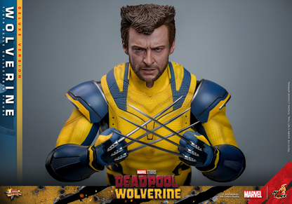 WOLVERINE (DELUXE VERSION) Sechste Maßstab Figur von Hot Toys
