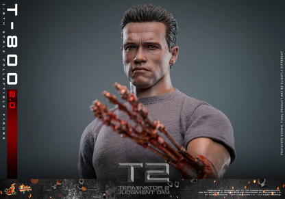 T-800 (2.0) Sechster Maßstab Figur von Hot Toys