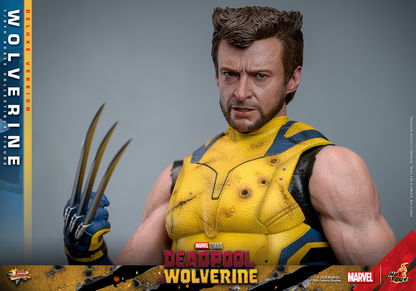 WOLVERINE (DELUXE VERSION) Sechste Maßstab Figur von Hot Toys