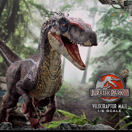 Jurassic Park III Velociraptor Männlich Bonusversion