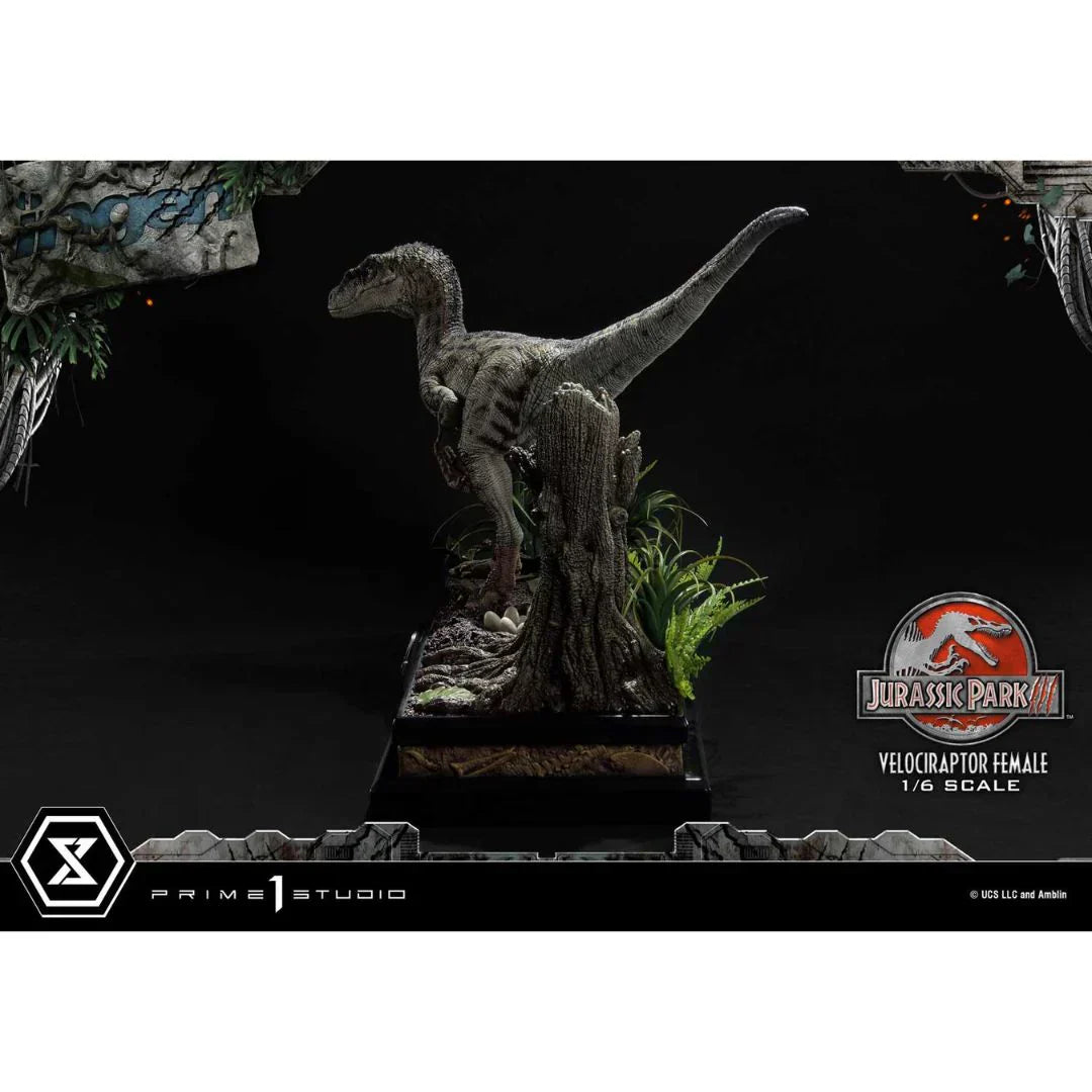 Prime 1 Studio Jurassic Park III (Film) Velociraptor Weiblich Bonusversion Statue