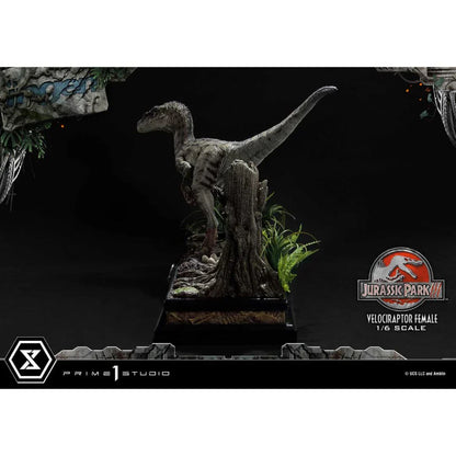 Prime 1 Studio Jurassic Park III (Film) Velociraptor Weiblich Bonusversion Statue