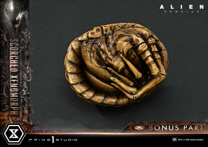 Alien Romulus Scorched Xenomorph DX Bonus Version von Prime 1 Studio