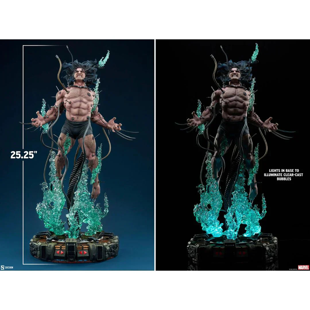 Wolverine Weapon X Premium Format von Sideshow Collectibles