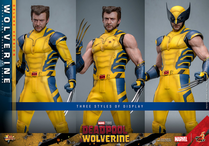 WOLVERINE (DELUXE VERSION) Sechste Maßstab Figur von Hot Toys