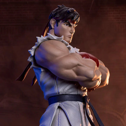 RYU & DAN Sammler-Set von PCS