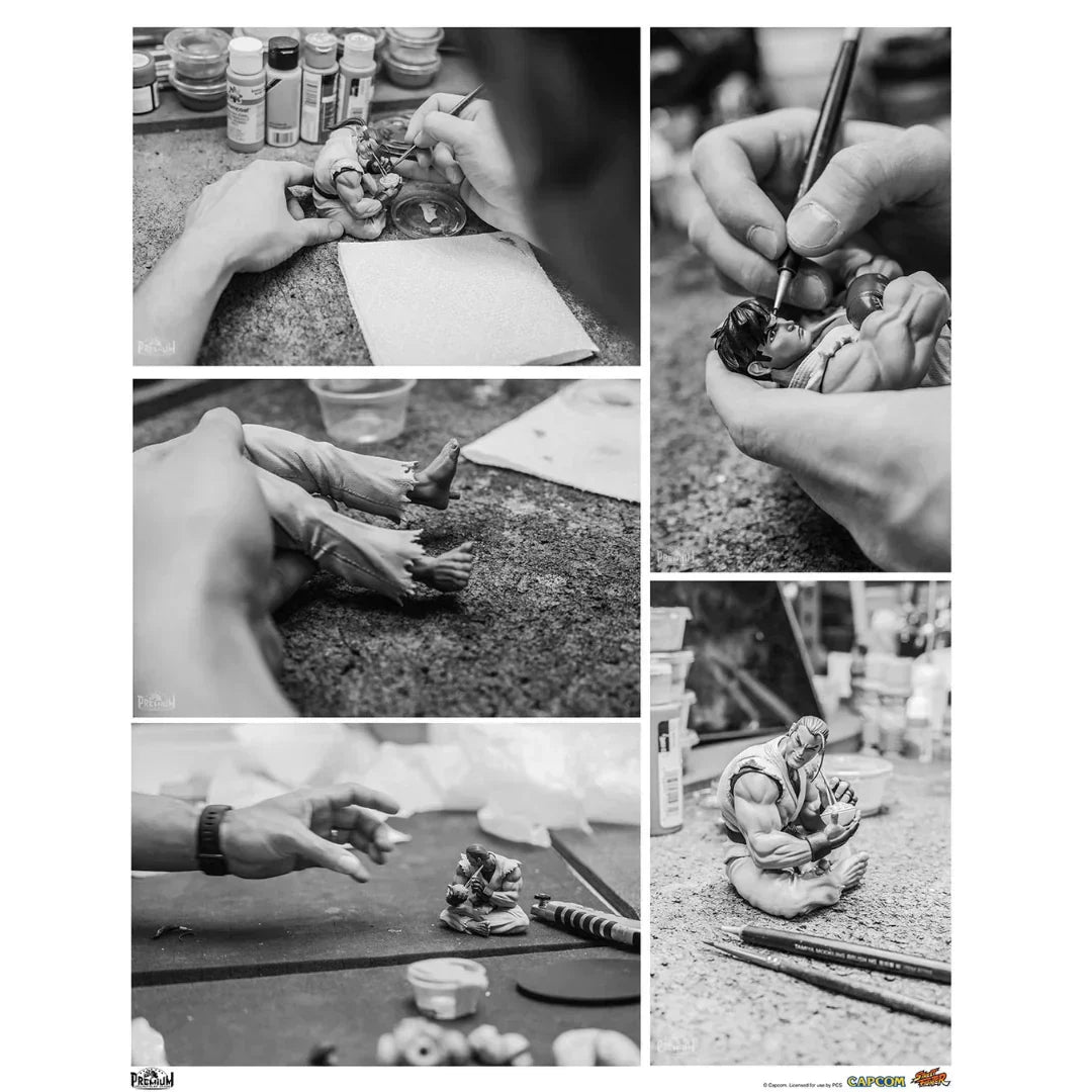 RYU & DAN Sammler-Set von PCS