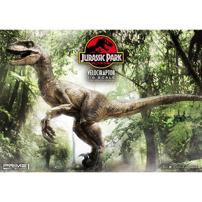 Jurassic Park Velociraptor Statue von Prime 1 Studio