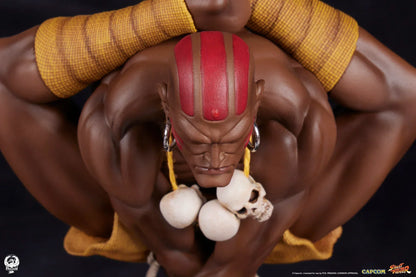 AKUMA & DHALSIM Sammlerset von PCS