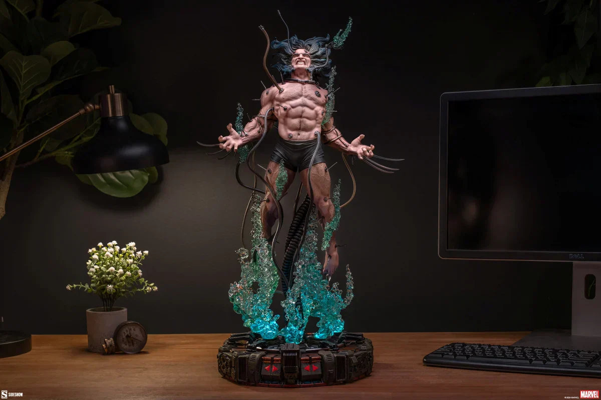 Wolverine Weapon X Premium Format von Sideshow Collectibles